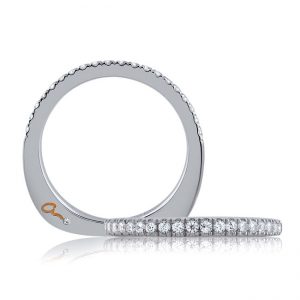 18 KARAT WHITE GOLD WEDDING BAND with diamonds - 4022WR-B