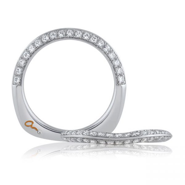 18 KARAT WHITE GOLD WEDDING BAND with diamonds - 4025WR-B