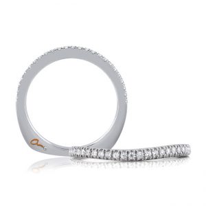 18 KARAT WHITE GOLD WEDDING BAND with diamonds - 4028WR-B