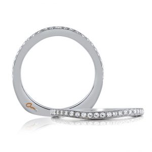 18 KARAT WHITE GOLD WEDDING BAND with diamonds - 4039WR-B