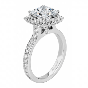 Michael M Princesse R125