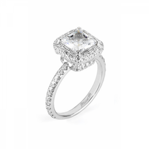 Michael M Princesse R243