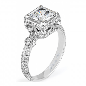 Michael M Princesse R251