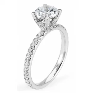 Michael M Europa R371