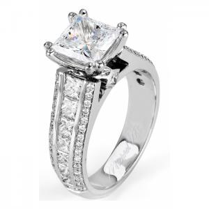 Michael M Princesse R401