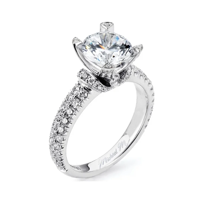 Michael M Europa R436