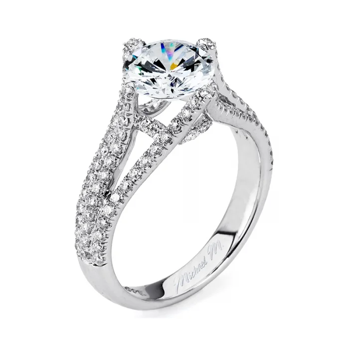 Michael M Europa R439