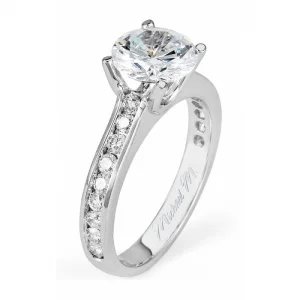 Michael M Amore R461