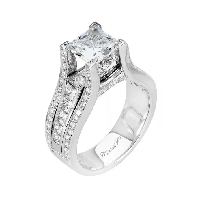 Michael M Princesse R467