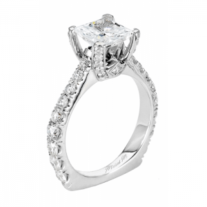 Michael M Princesse R479