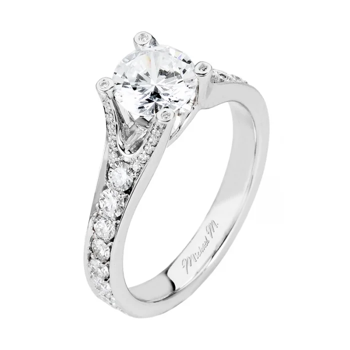 Michael M Amore R507