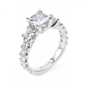 Michael M Princesse R529