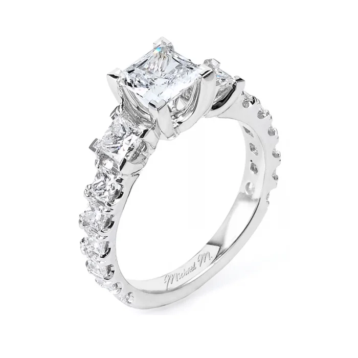 Michael M Princesse R529