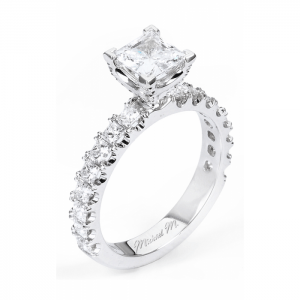 Michael M Princesse R531