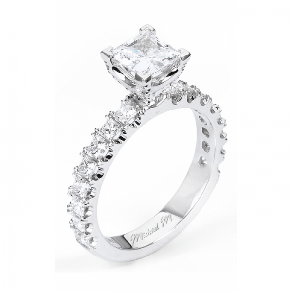 Michael M Princesse R531