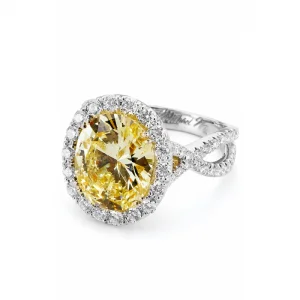 Michael M Bicolore R454