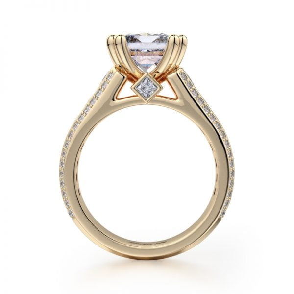 Michael M Princesse R401-2