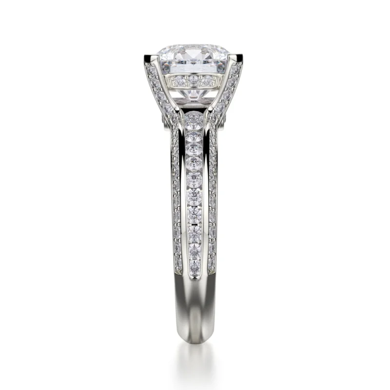 Michael M Vercelli R457-2