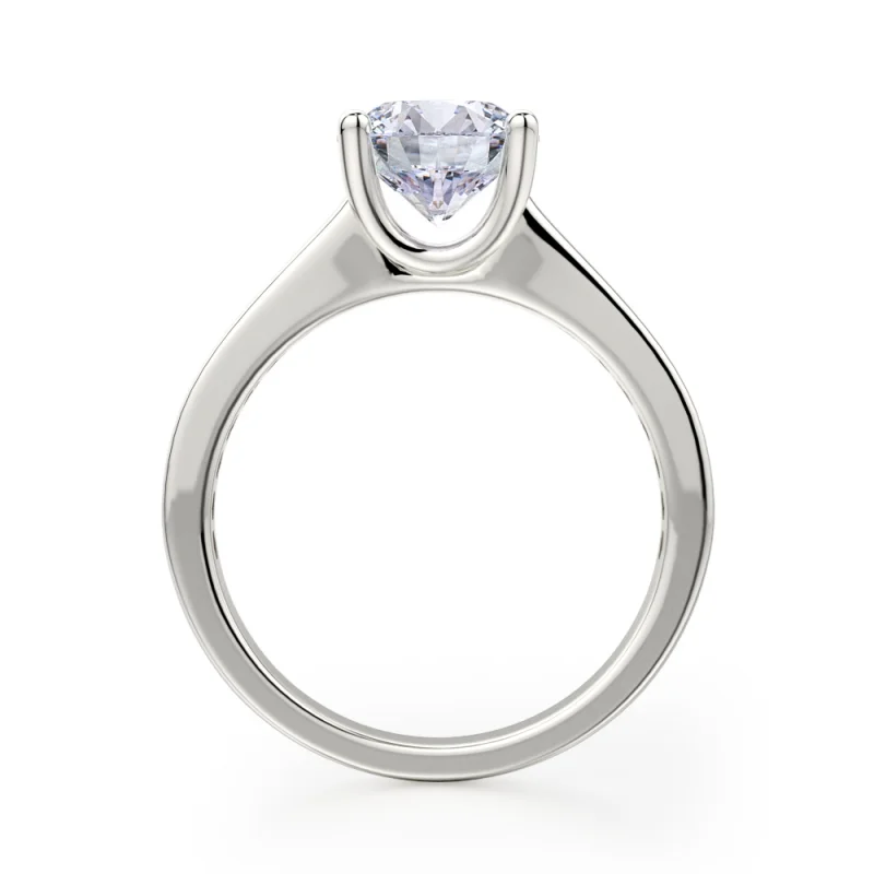 Michael M Amore R461-2