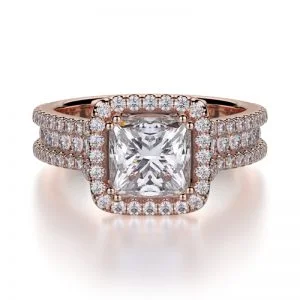Michael M Princesse R466-2
