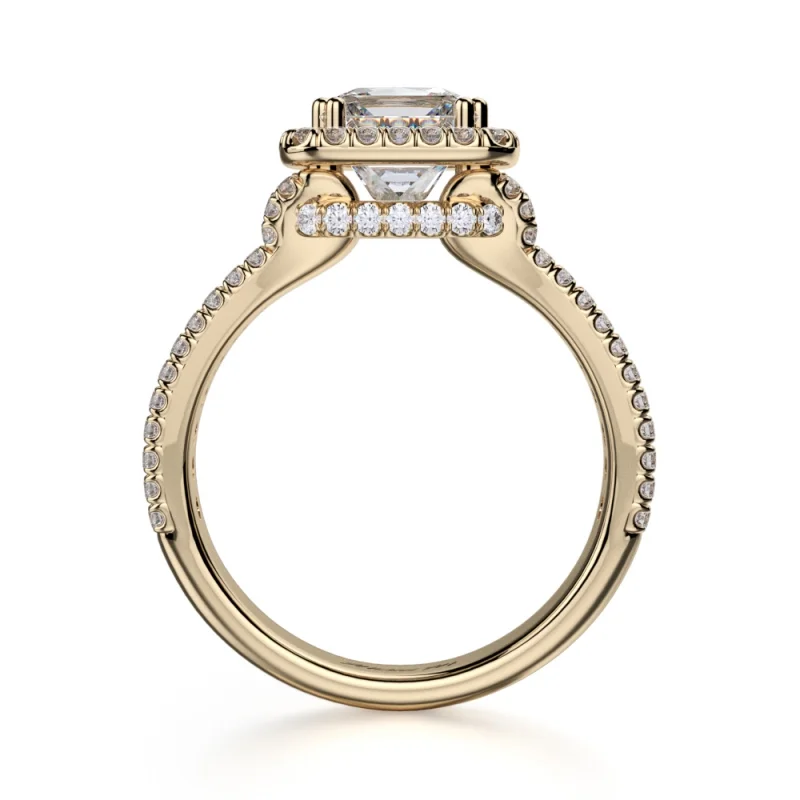 Michael M Princesse R466-2