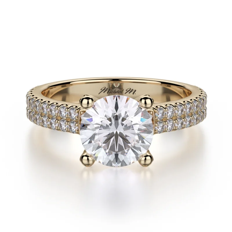 Michael M Europa R483-1