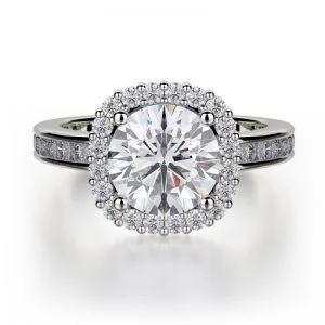 Michael M Amore R673-1.5