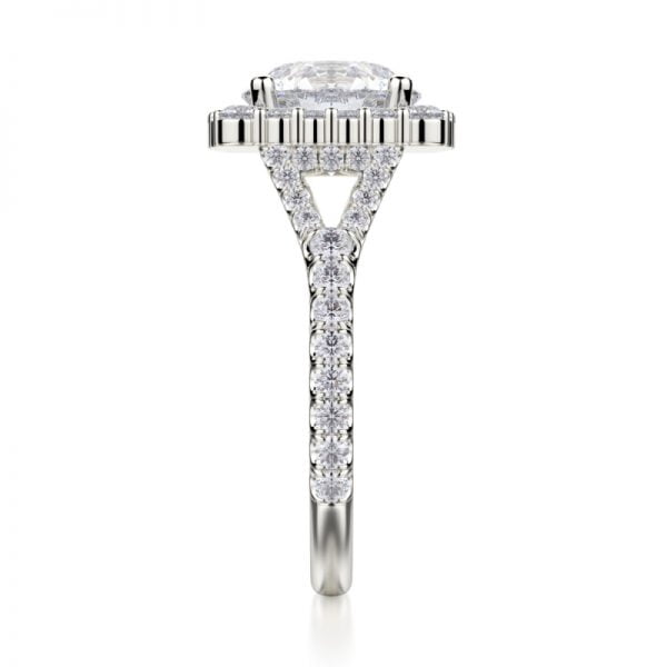 Michael M Crown R698-2