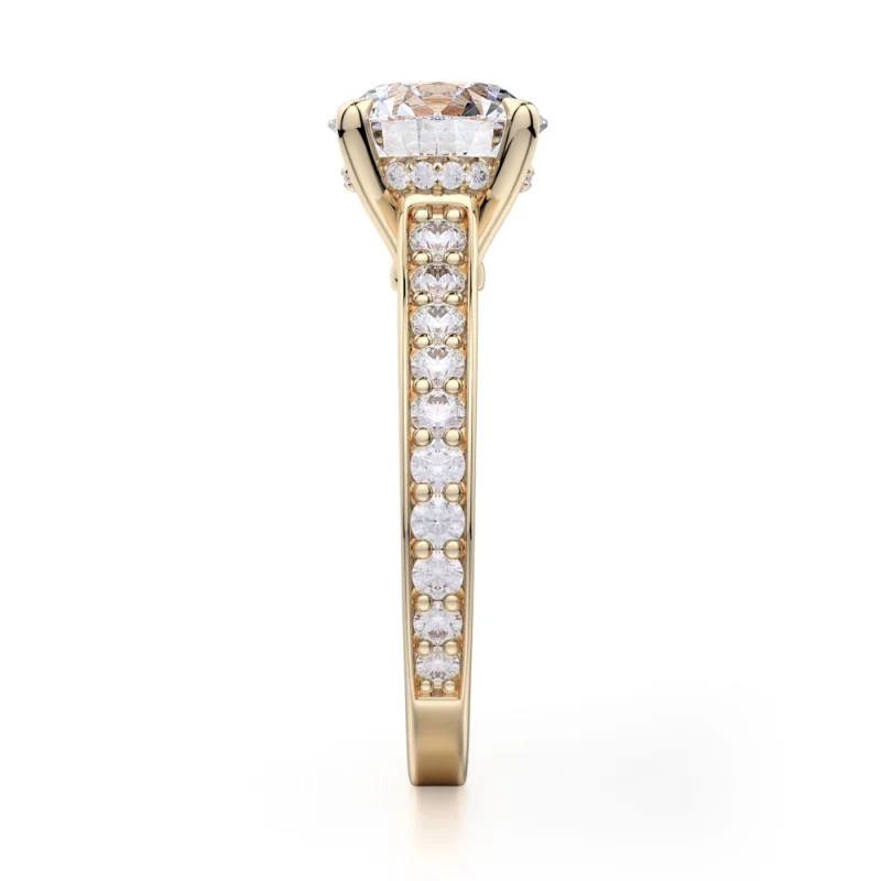 Michael M Crown R703-2