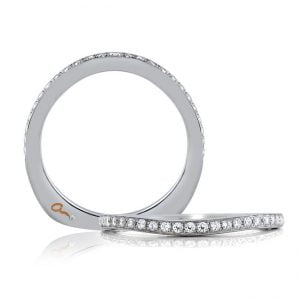 18 KARAT WHITE GOLD WEDDING BAND with diamonds - 4039WR-B